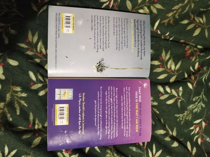 Amber Smith books