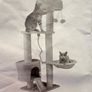 cat tree Image 3