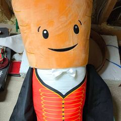 Kevin the carrot teddy bear
