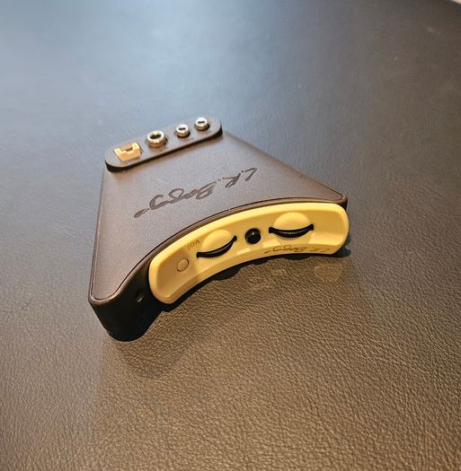 L.R. Baggs Anthem Pickup (Split Saddle) Lowden