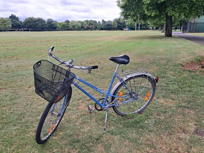 Comfy city bike