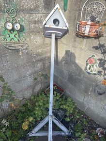 Bird House free