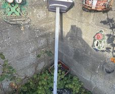 Bird House free