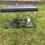 Fish tank Image 2