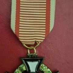 Austrian, military merit cross.