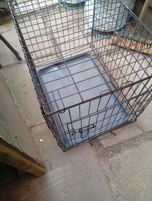 dog cage