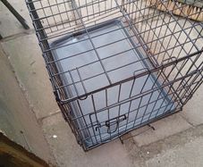 dog cage