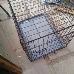 dog cage