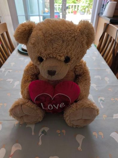 Teddy Bear