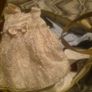 premature/newborn baby girl clothes Image 2