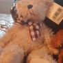 Teddies with Beanie Belly Image 3