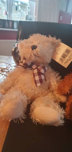Teddies with Beanie Belly