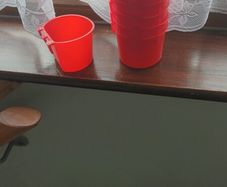 bird drinkers