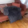 free dog beds Image 3