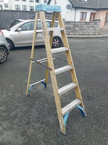 werner ladder