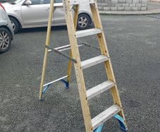 werner ladder