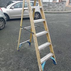 werner ladder
