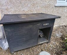 large dog kennel house