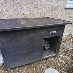 large dog kennel house