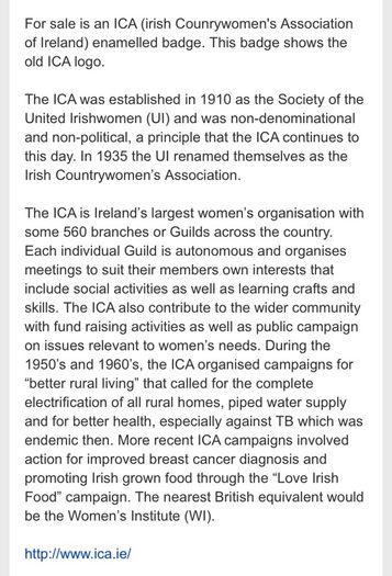 ICA Badge Pin