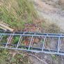 Scaffolding Image 9