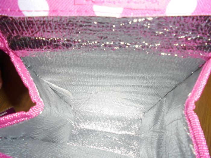 Insulated Lunch Bag for Sale
