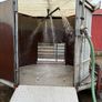 Sheep shower Image 3