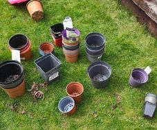 plant pot for free x50