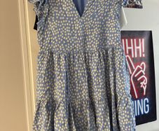 Mint Velvet Dress