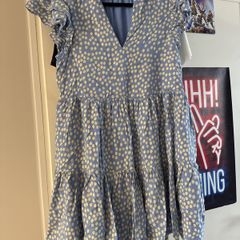 Mint Velvet Dress