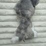 Ty Beanie Boo Whiskers approx. 6 Plush Schnauzer Dog Please look at the pictures Image 7
