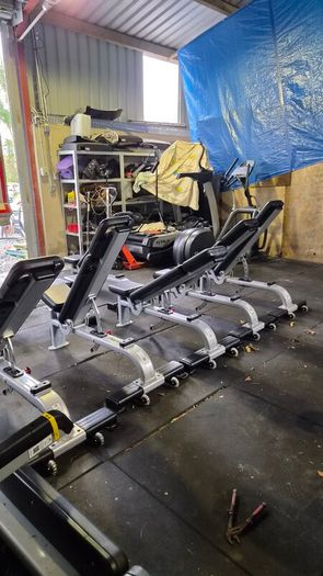 Fully Commercial Gym Benchs Top Brands Nautilus And True Fitness