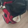 wilson golf bag Image 6