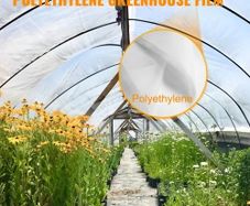 Greenhouse Polyethylene Film 0.1524 mm Thickness, Greenhouse Plastic Greenhouse Clear Plastic Film UV Resistant, Polyethylene Film Keep Warming, Superior Toughness