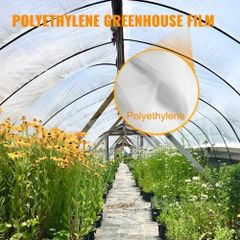 Greenhouse Polyethylene Film 0.1524 mm Thickness, Greenhouse Plastic Greenhouse Clear Plastic Film UV Resistant, Polyethylene Film Keep Warming, Superior Toughness