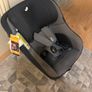 Joie Car seat Image 2