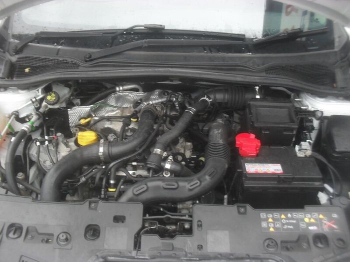 1 Year Warranty