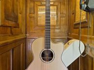 main image for ad Avalon S30c BZ 2026 Bouzouki