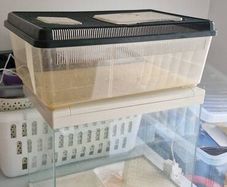 selection of tanks enclosures