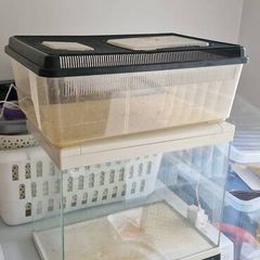 selection of tanks enclosures