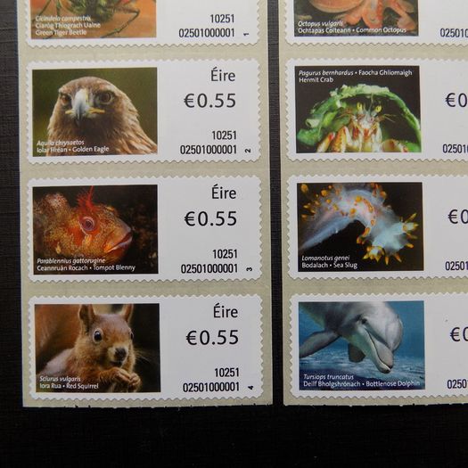 Ireland 2010.Set of stamps from coil Roll.55c x 8.Mint never hinged.MNH.