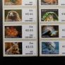 Ireland 2010.Set of stamps from coil Roll.55c x 8.Mint never hinged.MNH. Image 2