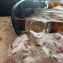 Versace Sunglasses (Worn Once) Image 4