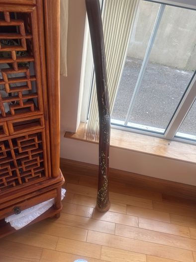 Hardwood Didgeridoo | Hand-Painted Goanna Artwork | Excellent Condition