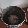 plantpot Image 4