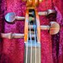 Stentor 1 Student Violin Image 9