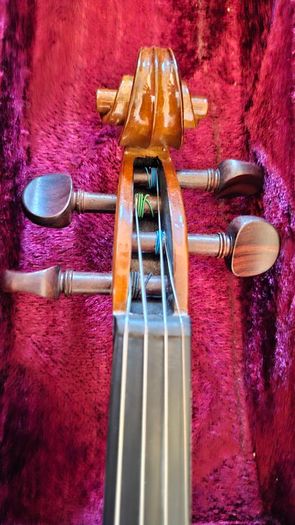 Stentor 1 Student Violin