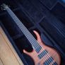 MTD Fretless Bass Image 10