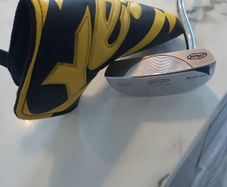 Yes, Ashley Putter with Headcover Nearly new condition Winn Dritac grip.