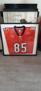 Poster Cincinnaty Bengals t shirt in frame